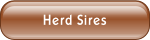 Herd Sires.