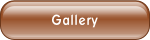 Gallery.